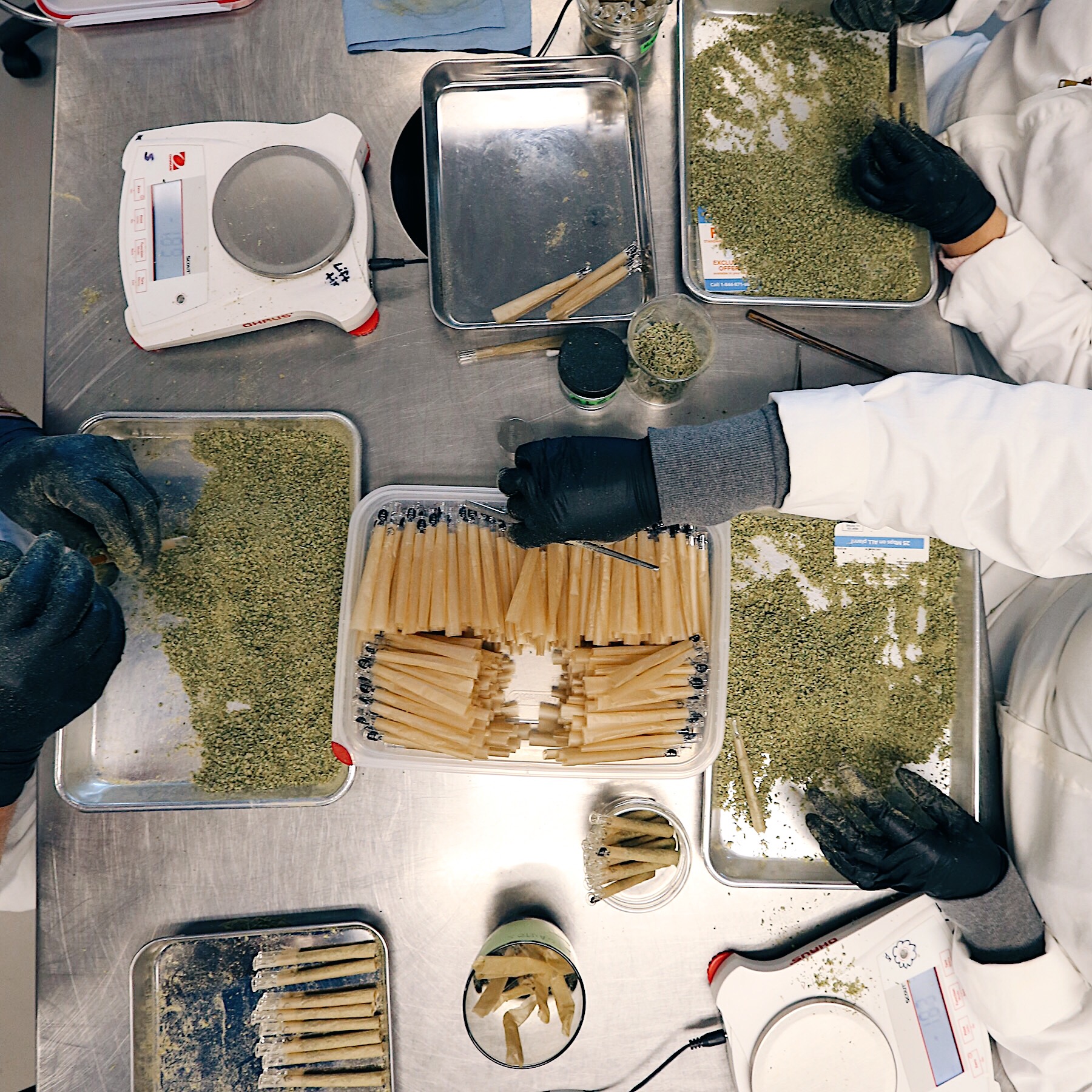 FACILITY-0179 - cannabis facility asset